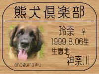 ��ނ܂��񂳂�̂g�o�ւf�n�I